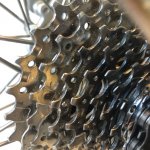 Koga Confidence Dames 47cm - Herckenrath Fietsplaza